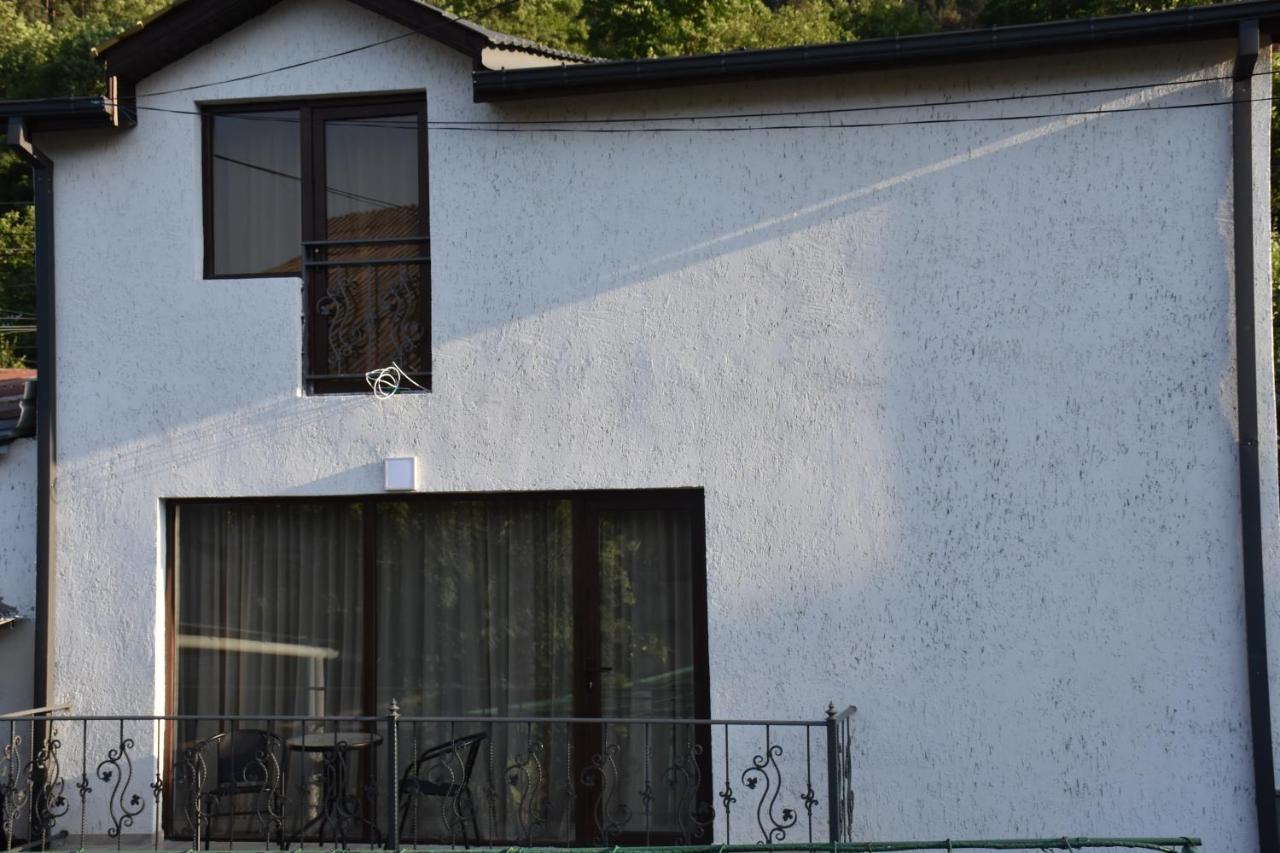 Eleana Villa Borjomi Exterior photo
